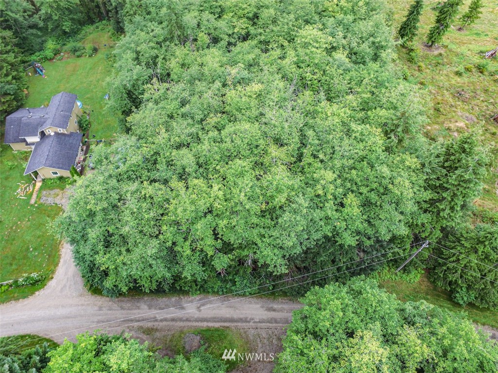 999 3 Rivers Road Forks, WA 98331 - Photo 15 of 21 Gallery Image 15