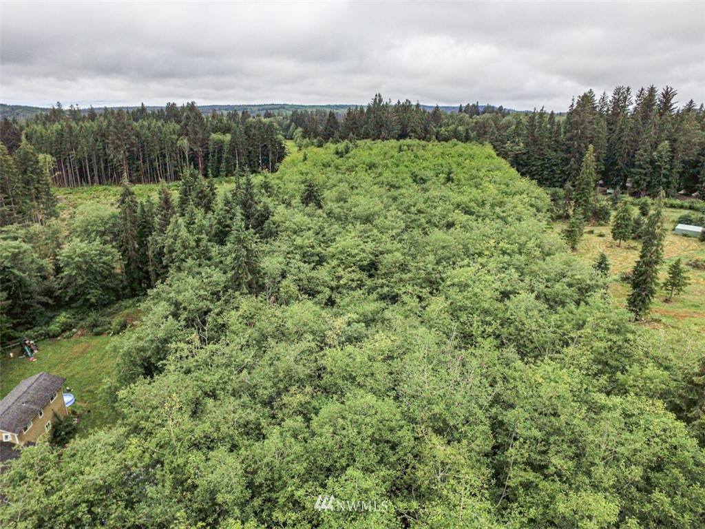 999 3 Rivers Road Forks, WA 98331 - Photo 16 of 21 Gallery Image 16