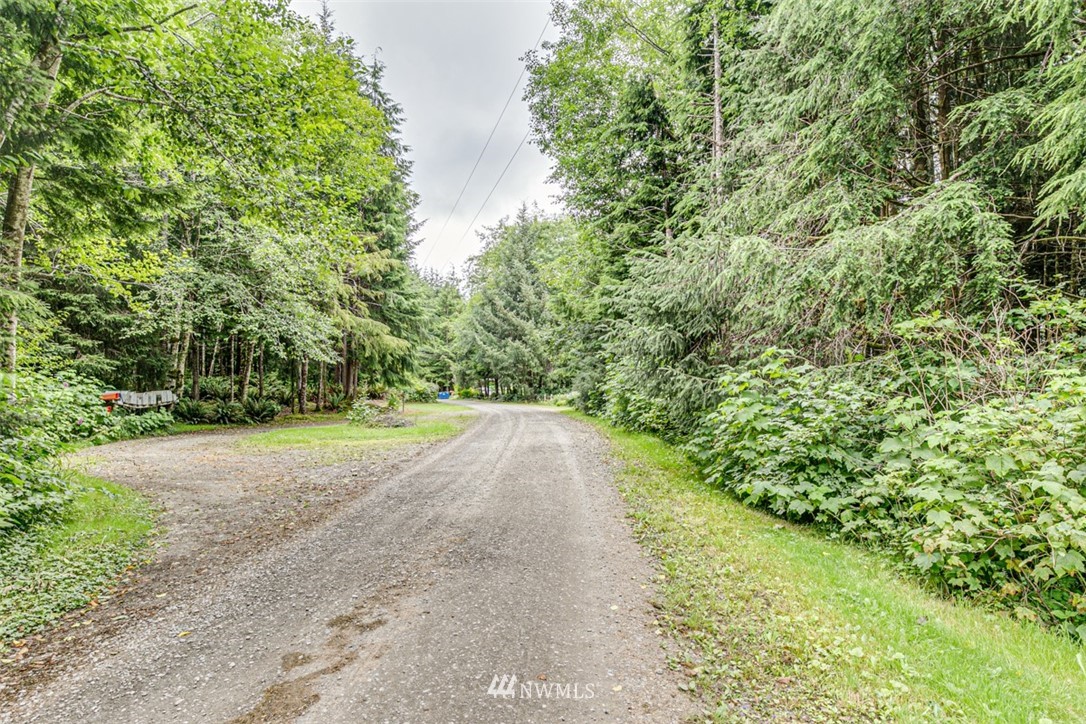 999 3 Rivers Road Forks, WA 98331 - Photo 3 of 21 Gallery Image 3