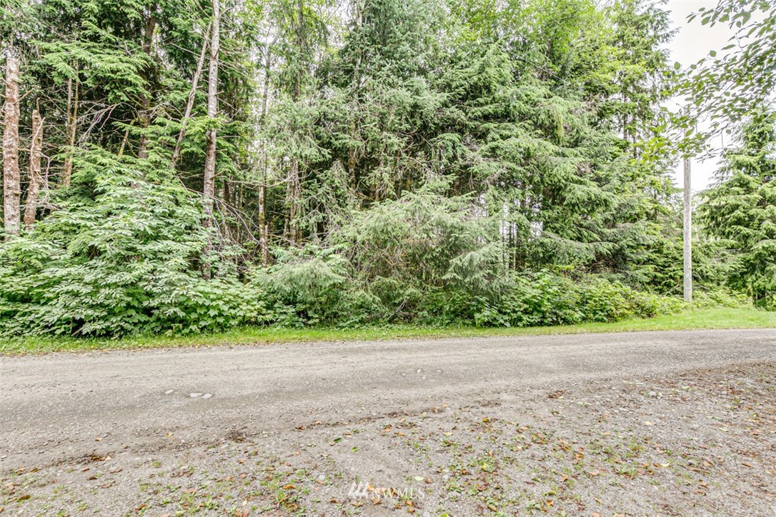 999 3 Rivers Road Forks, WA 98331 - Photo 4 of 21 Gallery Image 4