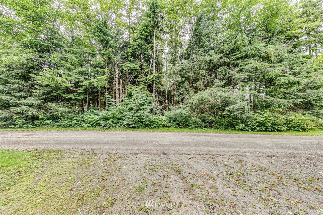999 3 Rivers Road Forks, WA 98331 - Photo 6 of 21 Gallery Image 6