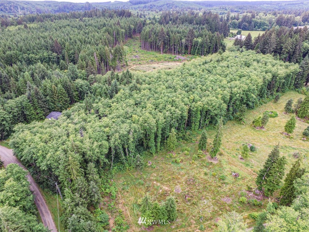999 3 Rivers Road Forks, WA 98331 - Photo 10 of 21 Gallery Image 10