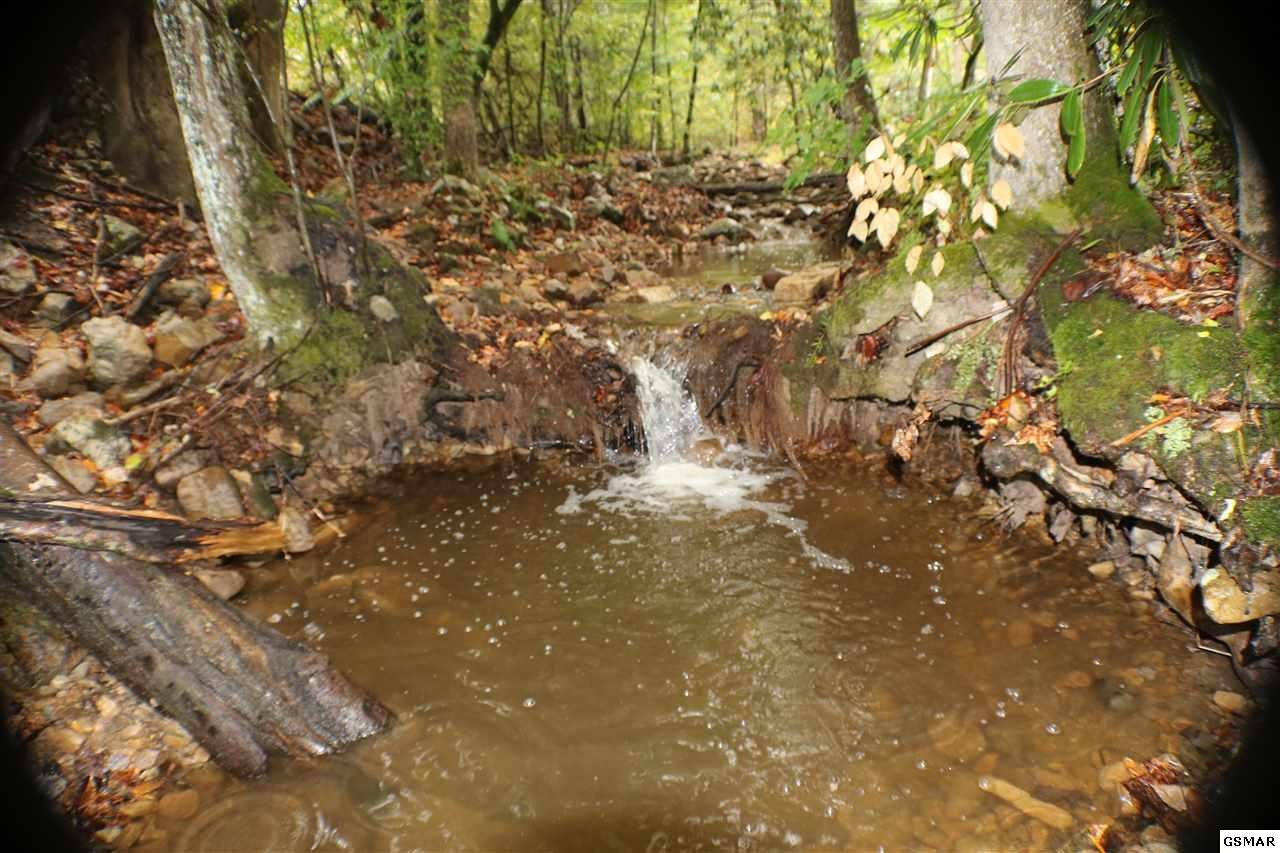 3350 Rocky Ridge Road Cosby, TN 37722 - Photo 28 of 32