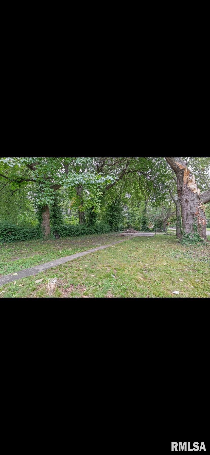 1230 South 13th Street Springfield, IL 62703 - Photo 14 of 15