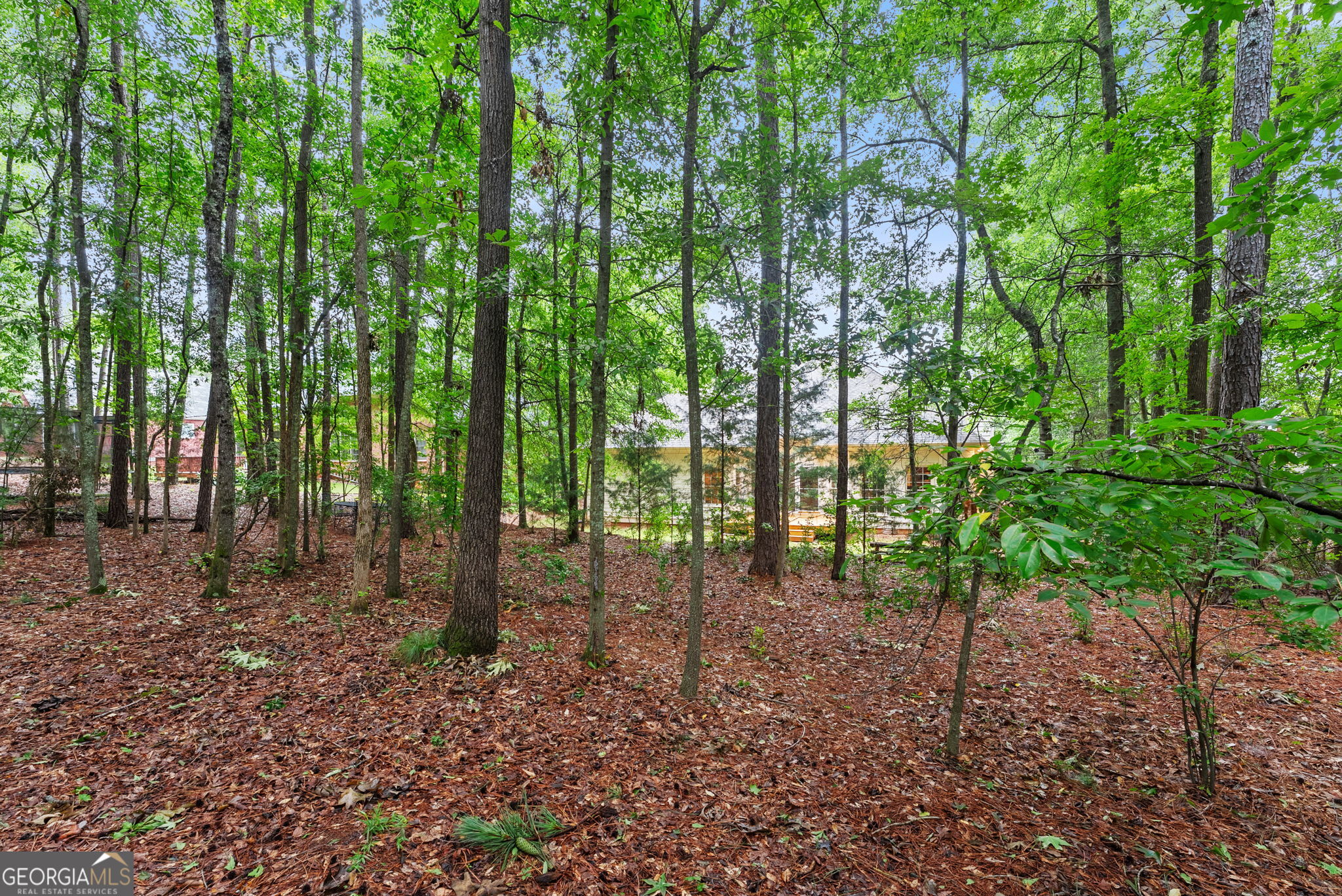 312 Ashbrook Lane Athens, GA 30605 - Photo 42 of 47