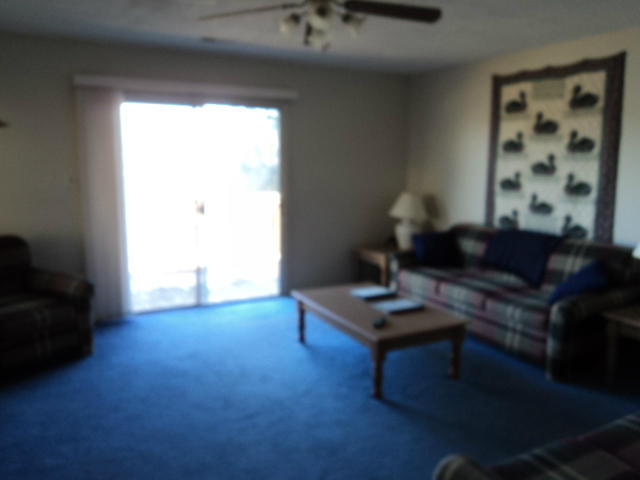6774 Horseshoe Bend Road Goodview, VA 24095 - Photo 17 of 30 Lower Level