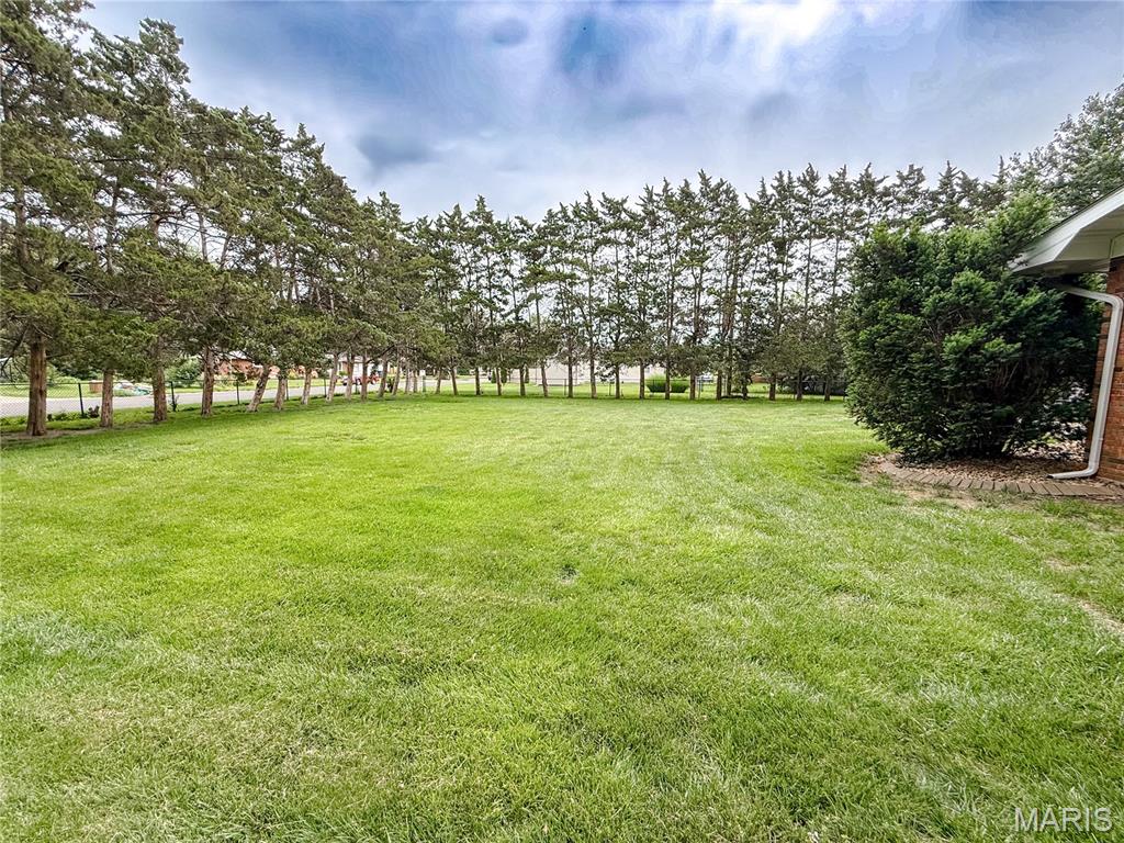 2707 Lemon Street Road Highland, IL 62249 - Photo 4 of 53