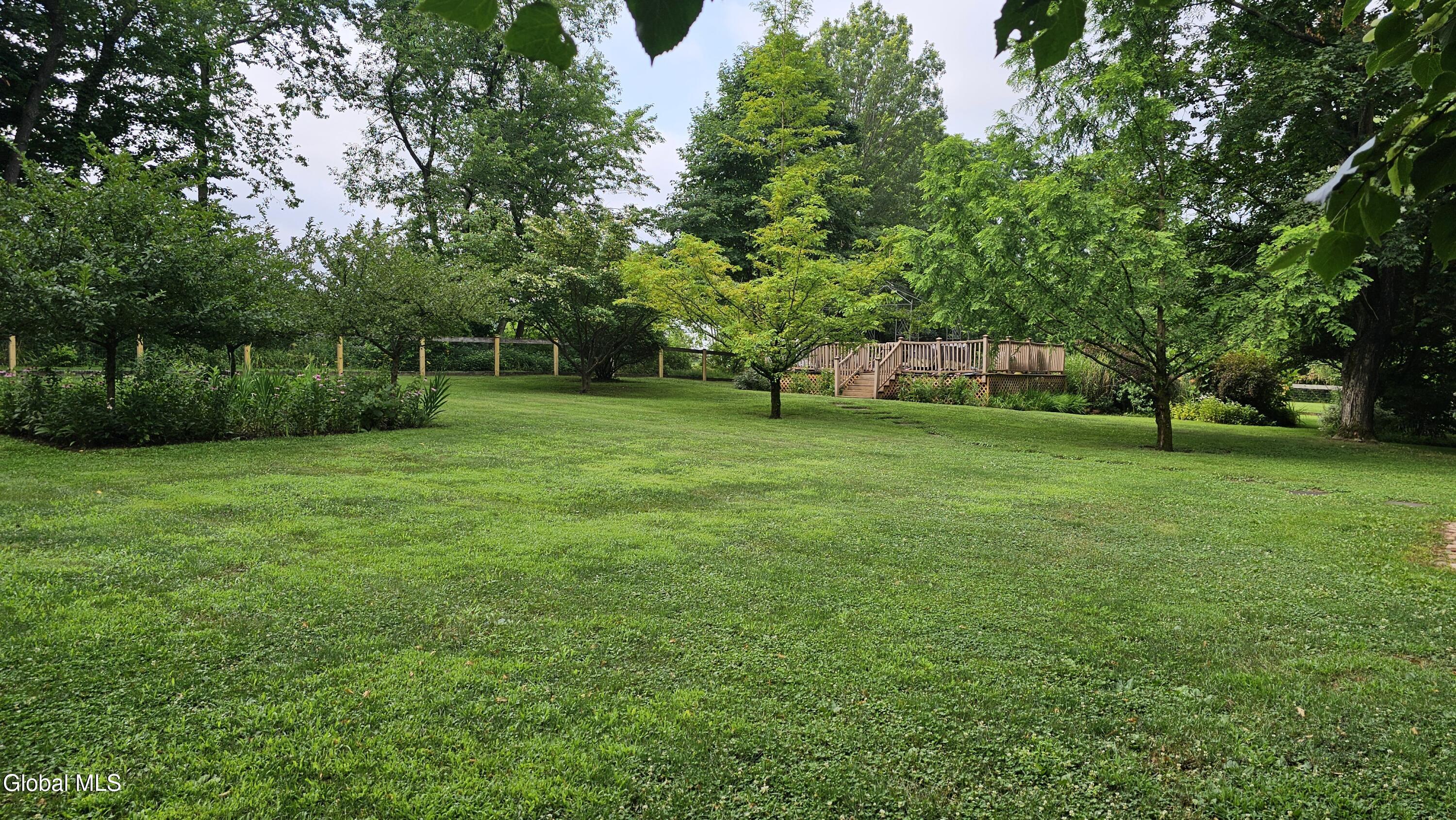 59 Buckwheat Road Germantown, NY 12526 - Photo 13 of 29 Back yard