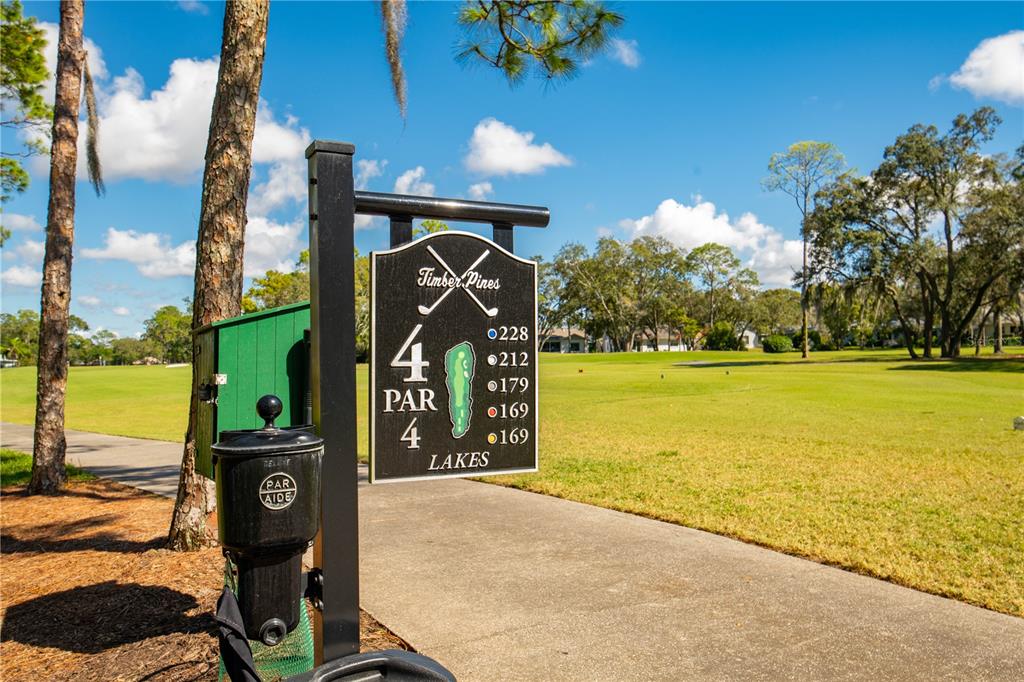2139 Sea Pines Court Spring Hill, FL 34606 - Photo 42 of 47
