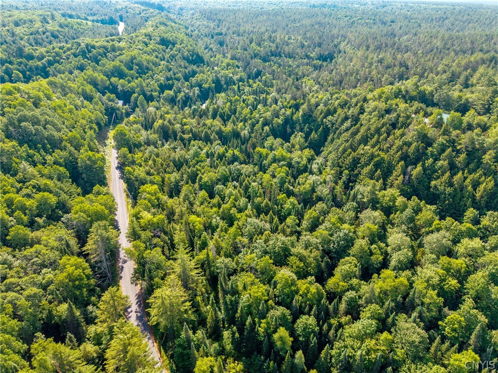 Fish Creek Road Greig, NY 13345 - Photo 6 of 14