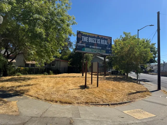 a view of a yard with a tree
