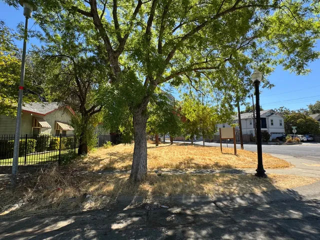 a view of a yard with trees