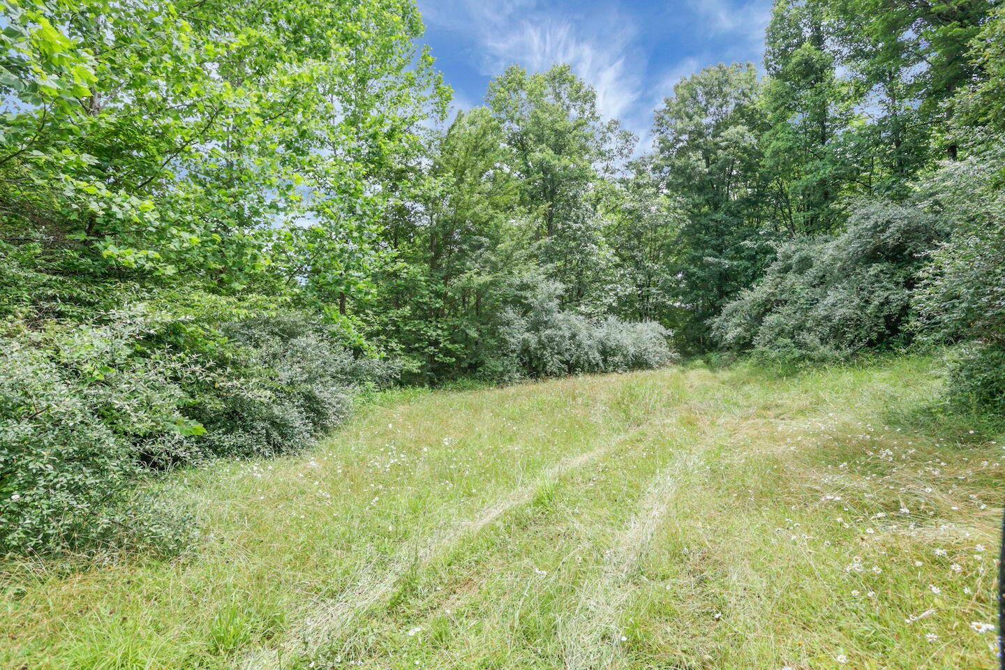 16749 Mush Run Road Athens, OH 45701 - Photo 9 of 37 13-web-or-mls-LO5A4537
