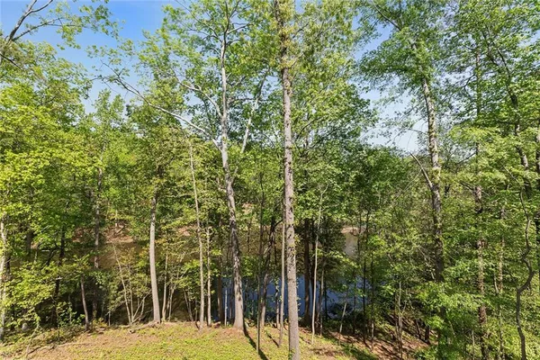 $3,000,000 | 3290 Dunlop Court, Atlanta, GA 30319