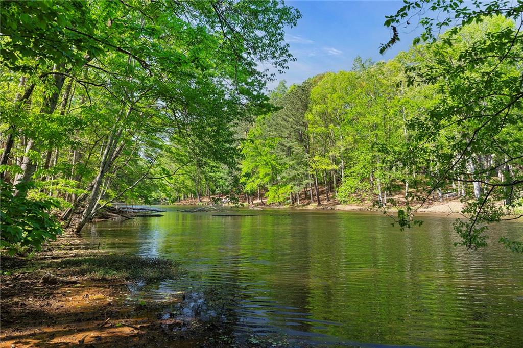 3290 Dunlop Court Atlanta, GA 30319 - Photo 73 of 81