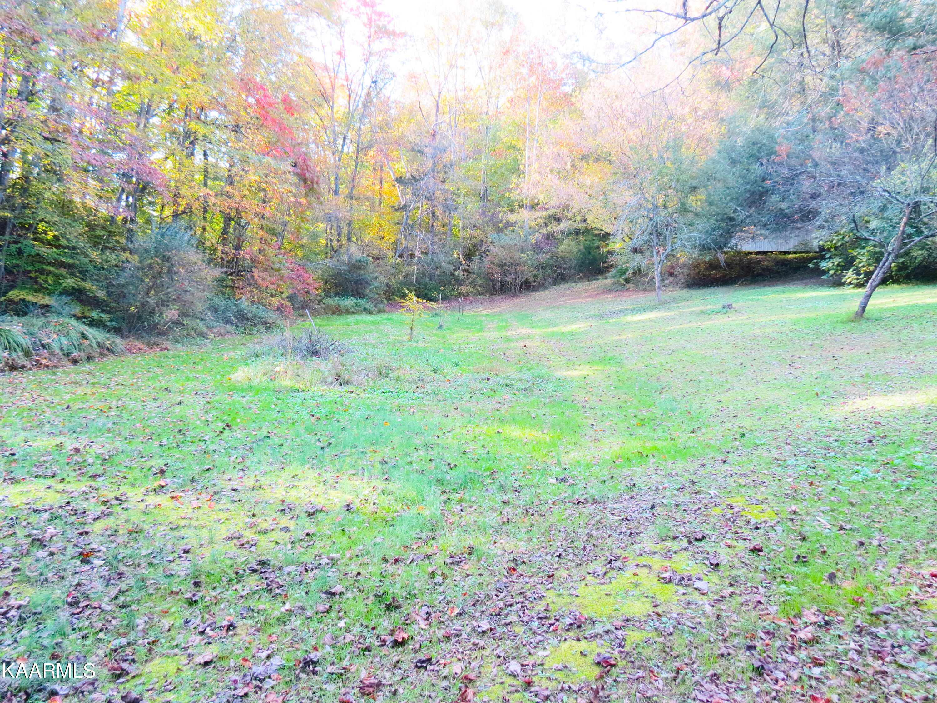 458 Haney Hollow Road Clinton, TN 37716 - Photo 8 of 20 hh16