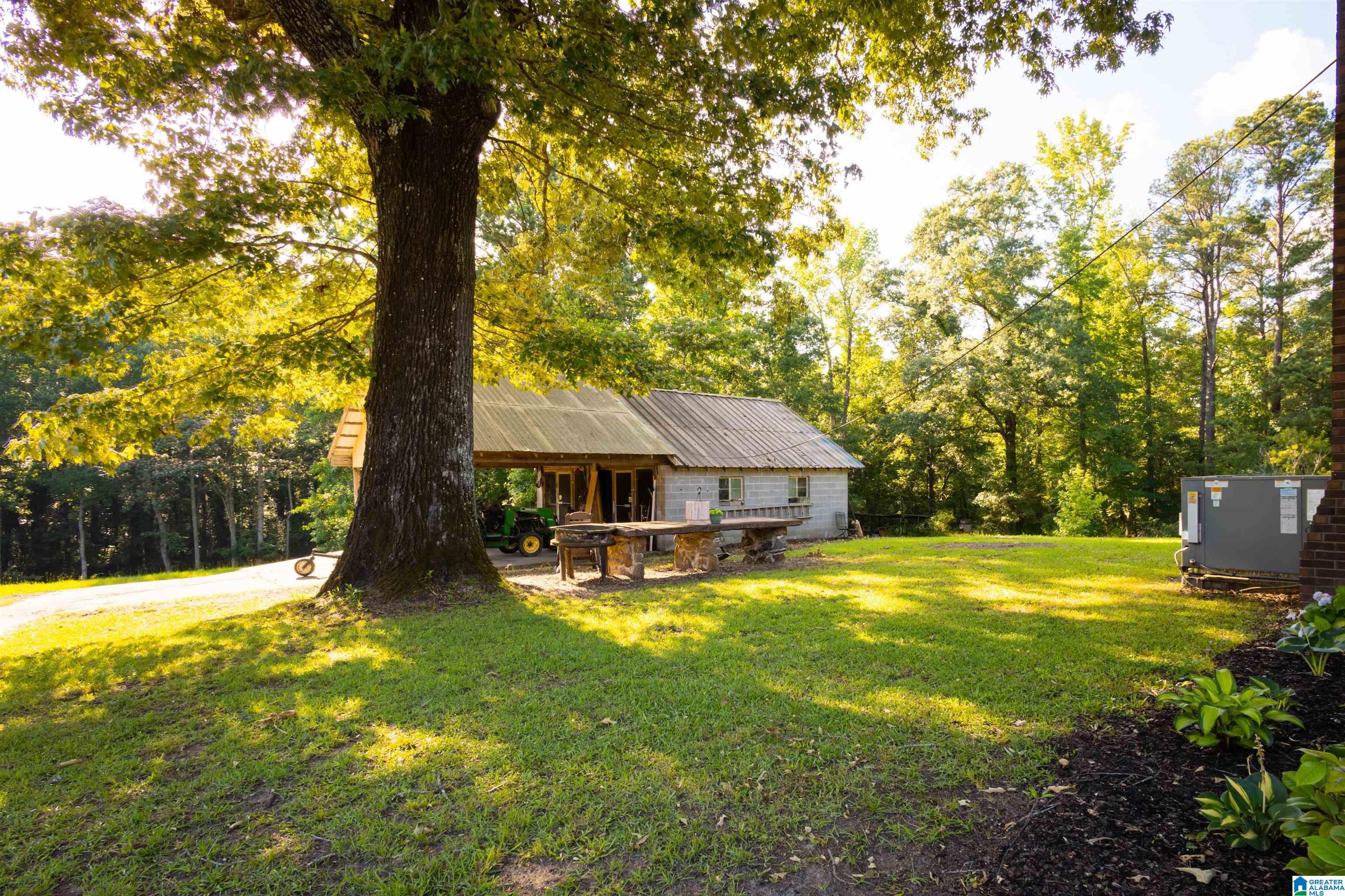 240 Vance Road West Blocton, AL 35184 - Photo 3 of 51
