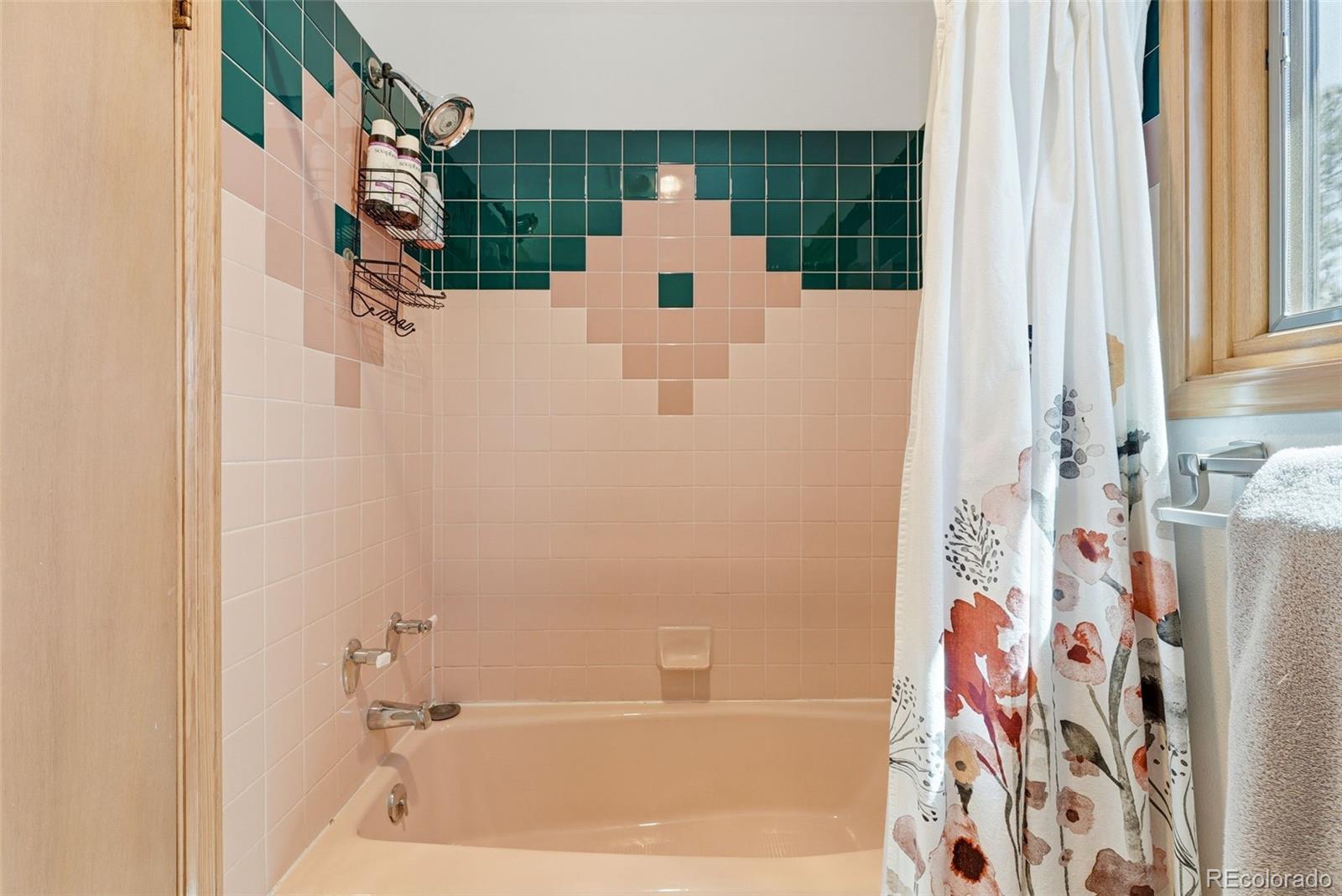 16687 Ouray Road West Pine, CO 80470 - Photo 34 of 49