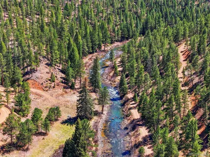 $945,000 | 16687 Ouray Road West, Pine, CO 80470