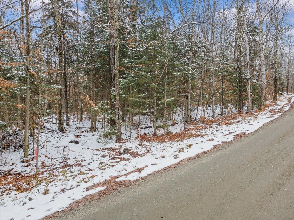 93 White Birch Road Morristown, VT 05661 - Photo 6 of 7