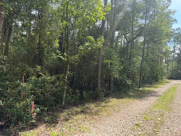 $98,900 | Lot 18 Pamela Place, Sopchoppy, FL 32358