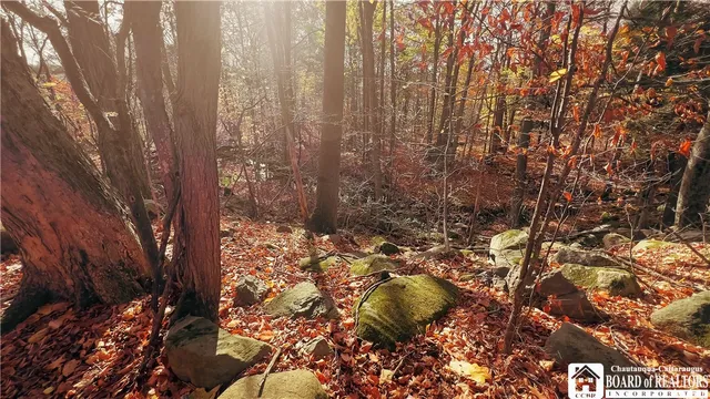 $317,000 | 4174 Osborne Road, Pomfret, NY 14063