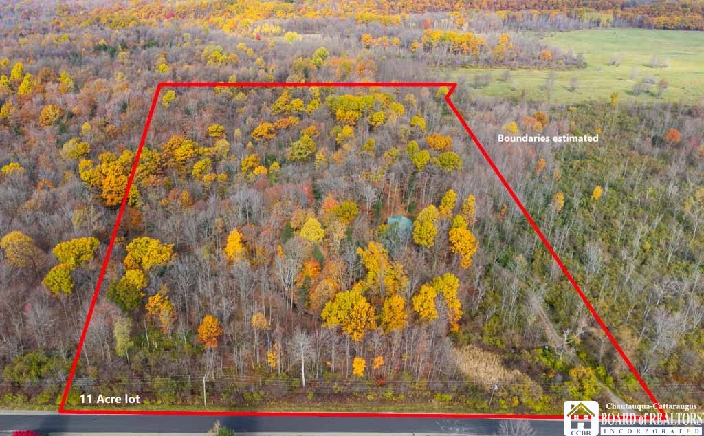 4174 Osborne Road Pomfret, NY 14063 - Photo 8 of 39