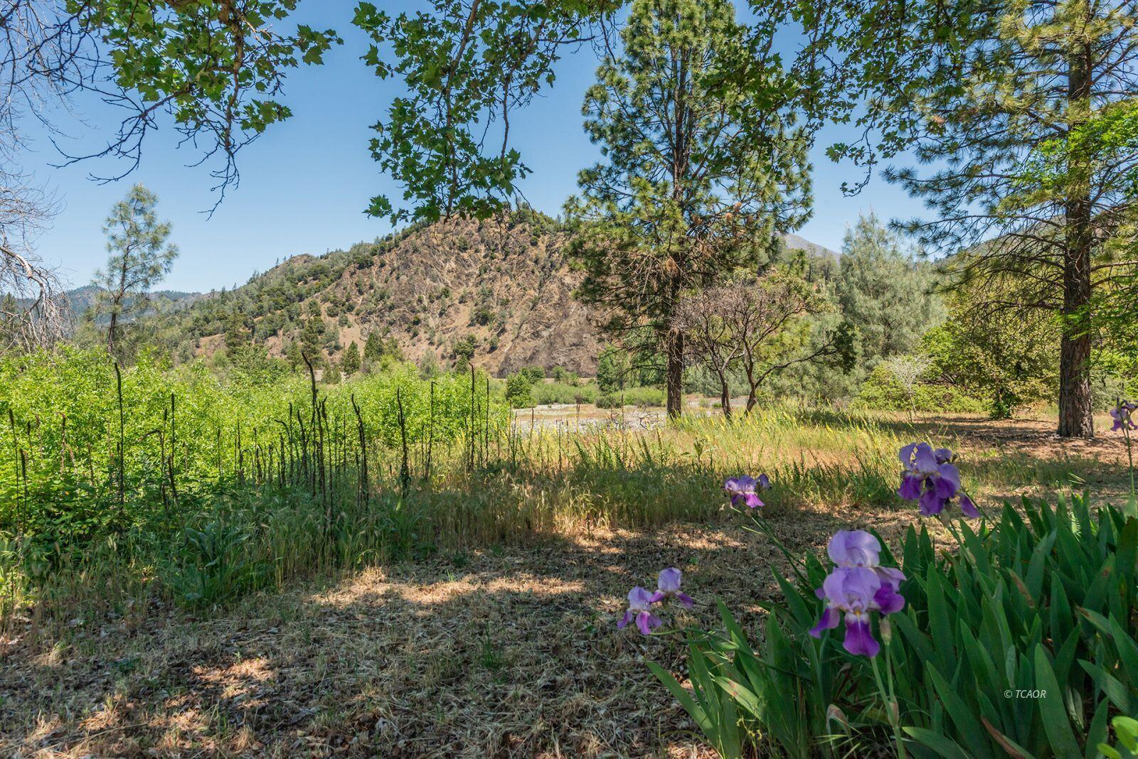 200 Dutch Creek Road Junction City, CA 96048 - Photo 23 of 32 23_2064314_lg