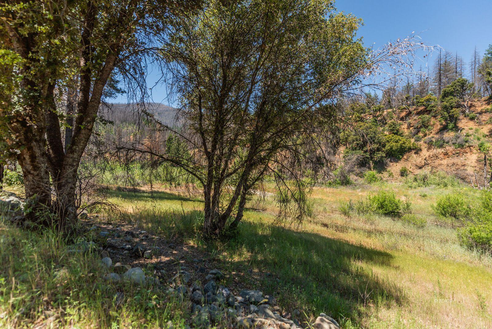 200 Dutch Creek Road Junction City, CA 96048 - Photo 9 of 32 09_2064300_lg