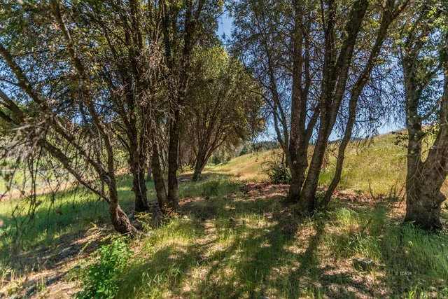 $429,000 | 200 Dutch Creek Road, Junction City, CA 96048