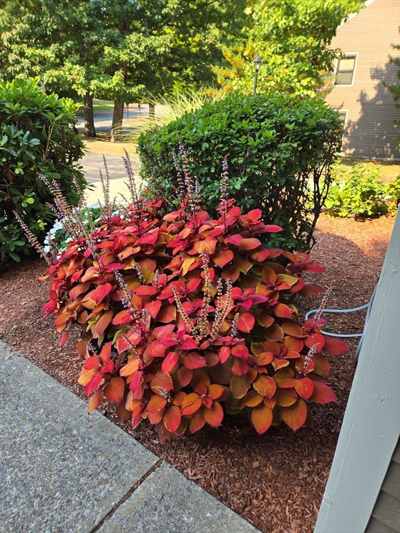 63 Drake Road Fitchburg, MA 01420 - Photo 3 of 42 Gallery Image 3