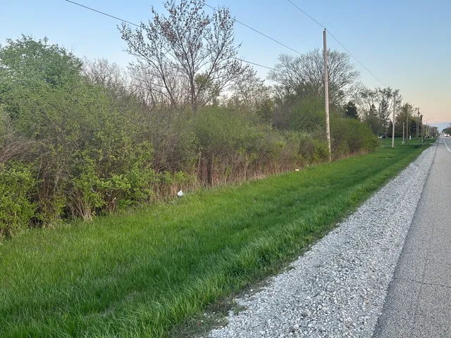 a view of a garden with a tree