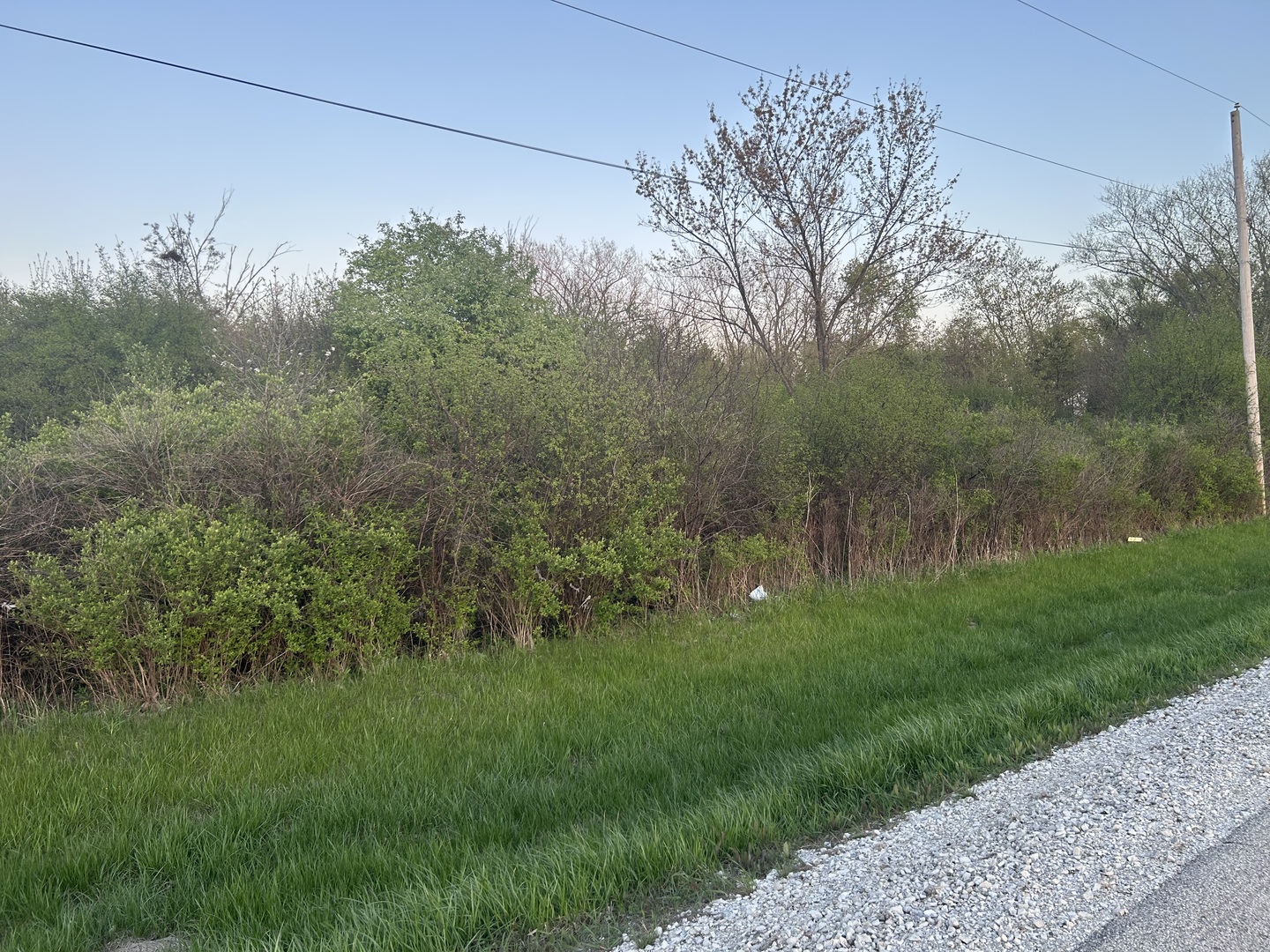40827 North Delany Road Wadsworth, IL 60083 - Photo 2 of 5 a backyard of a house with lots of green space