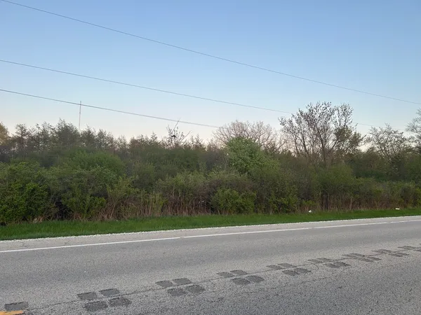 a view of a yard