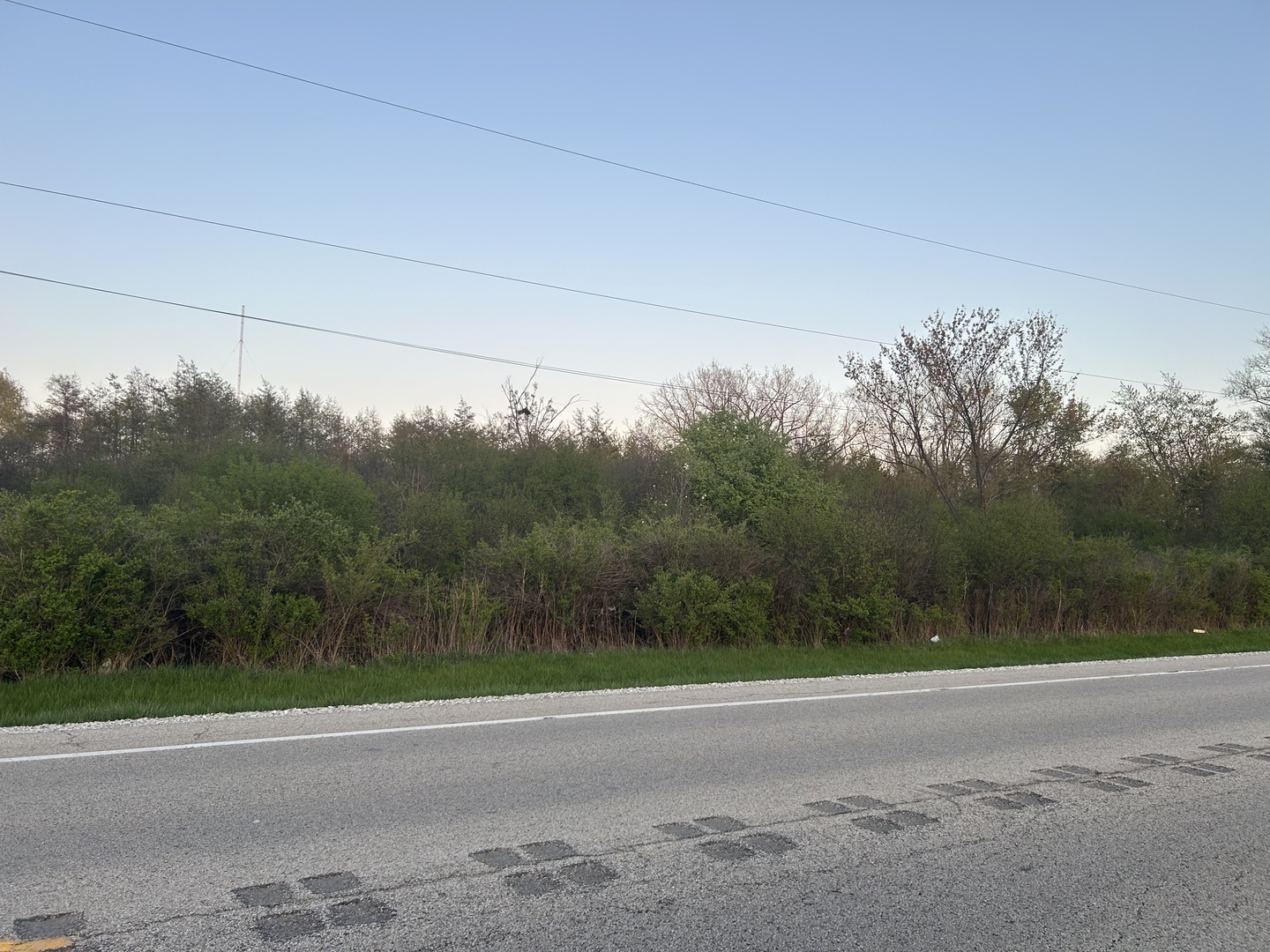 40827 North Delany Road Wadsworth, IL 60083 - Photo 4 of 5 a view of a yard