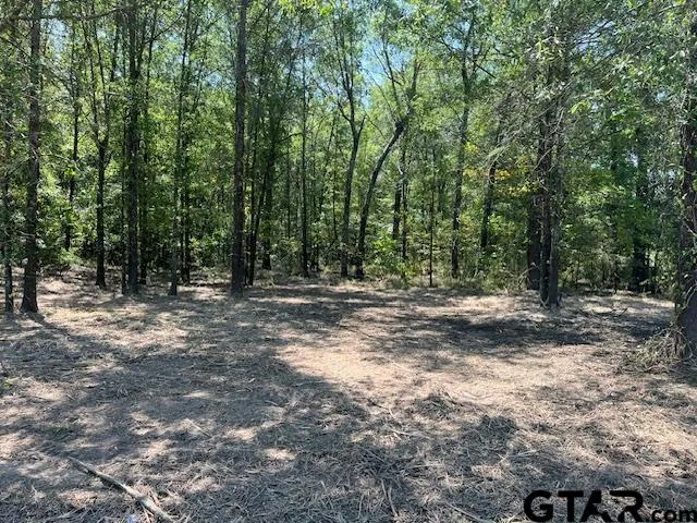 a view of outdoor space with trees