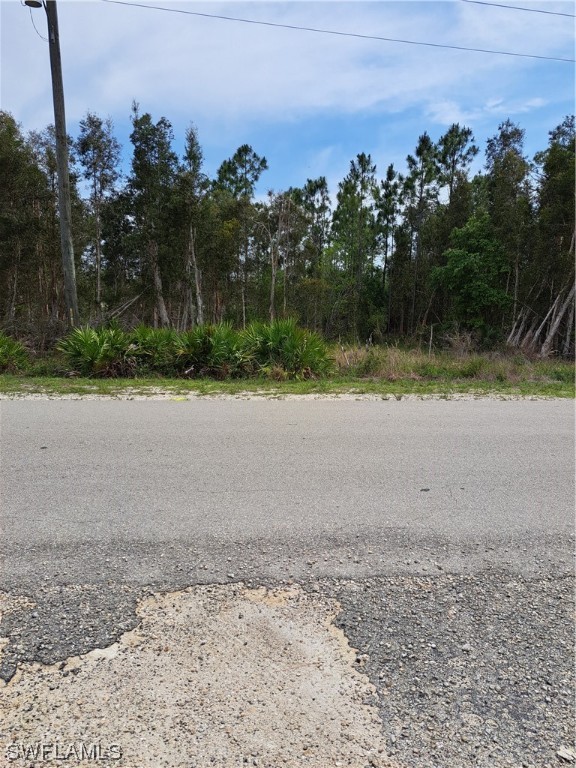 2648 Meadow Road Lehigh Acres, FL 33974 - Photo 1 of 1 a view of a yard with a lake view