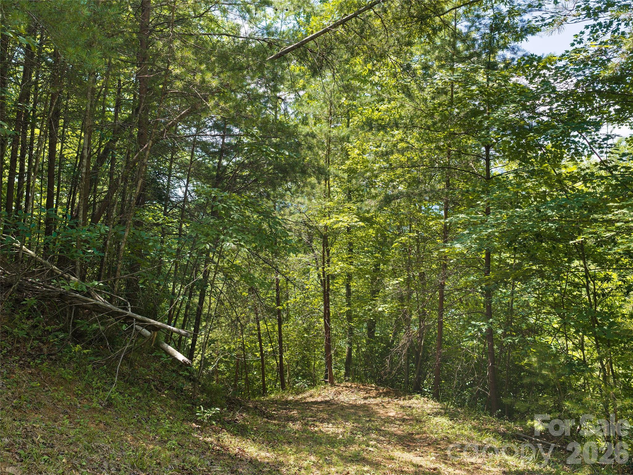 Lot 3 Loggers Pass Ln Mill Spring Mill Spring, NC 28756 - Photo 3 of 13