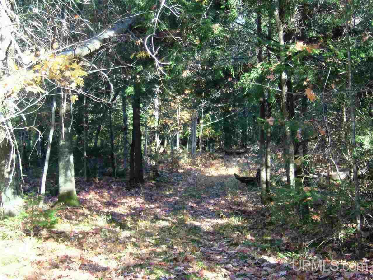 495 Johnson Road Wakefield, MI 49968 - Photo 28 of 34