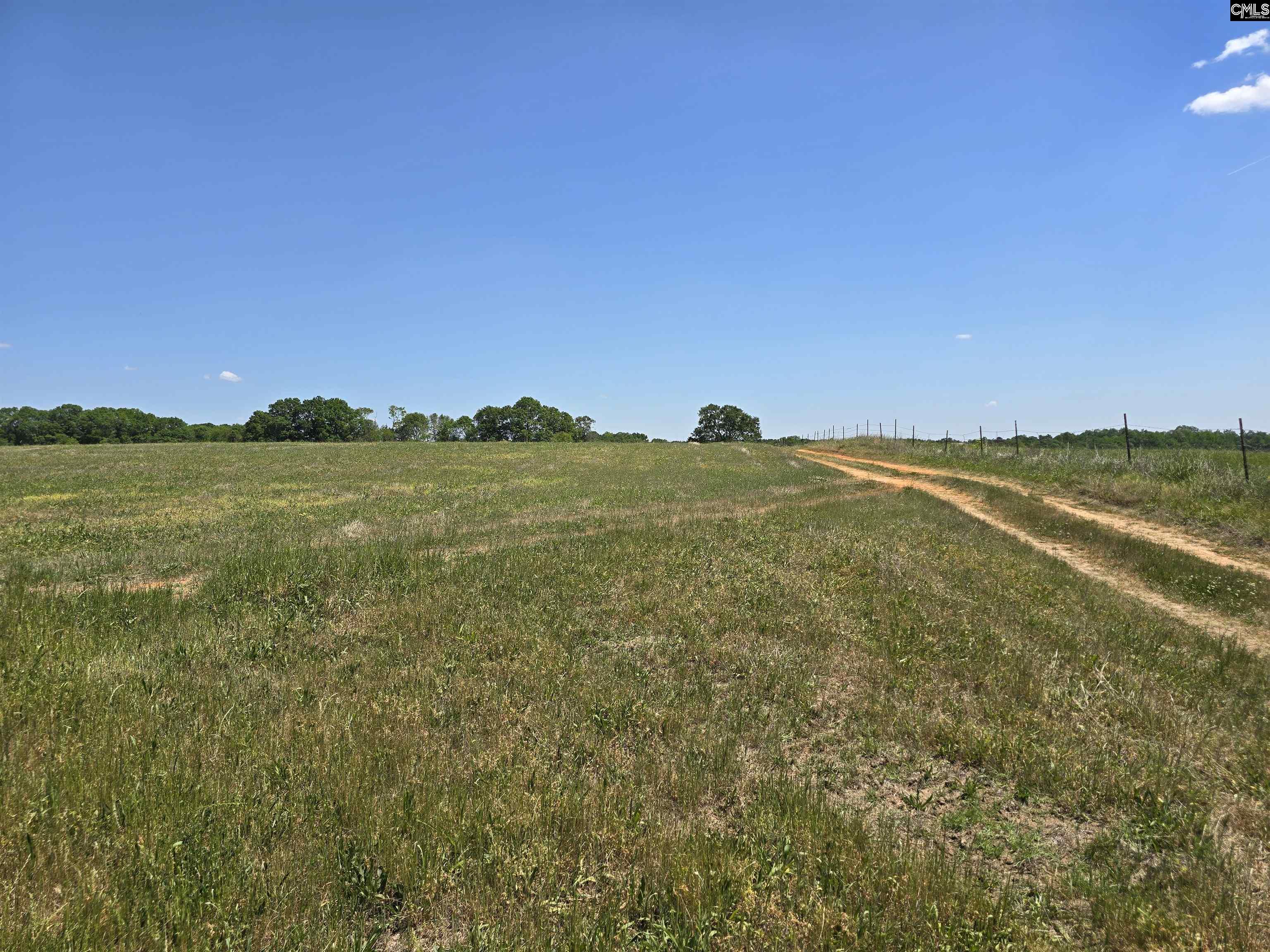542 Pea Ridge Highway Jonesville, SC 29353 - Photo 22 of 72