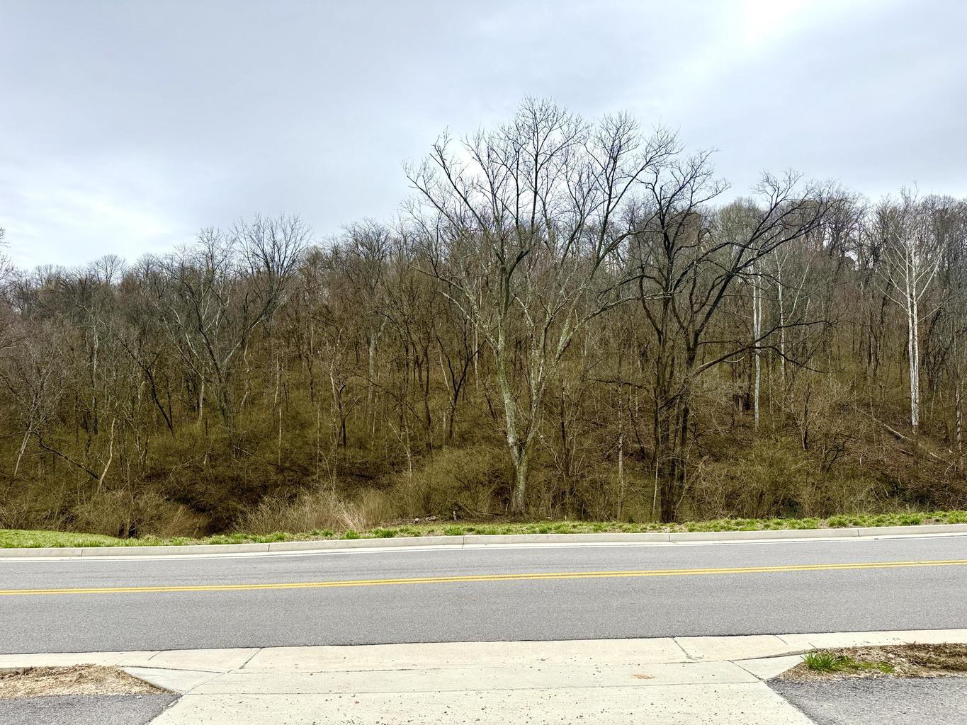 1915 Bromley-Crescent Springs Road, Unit C Fort Mitchell, KY 41017 - Photo 7 of 10
