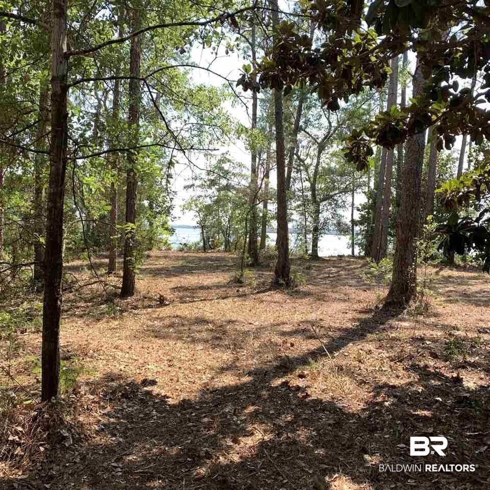 Yucatan Drive Elberta, AL 36530 - Photo 10 of 15