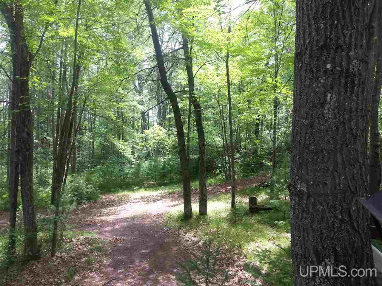 N17137 Tower Line Road Pembine, WI 54156 - Photo 20 of 22 Gallery Image 20