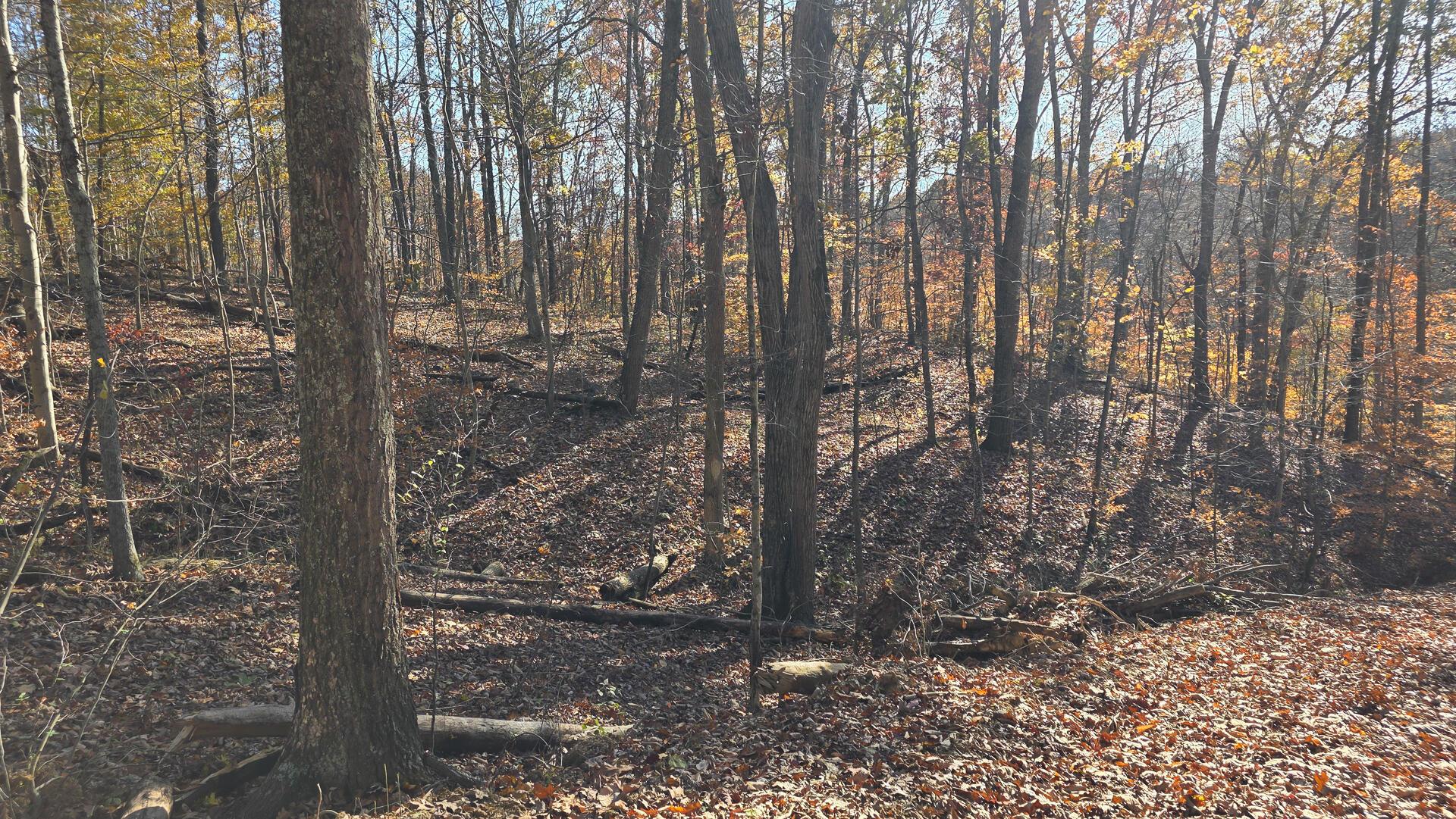 680 Nibert Road, Unit PONDS POPLAR RIDGE TRACT 10) Gallipolis, OH 45631 - Photo 19 of 46 CT-19