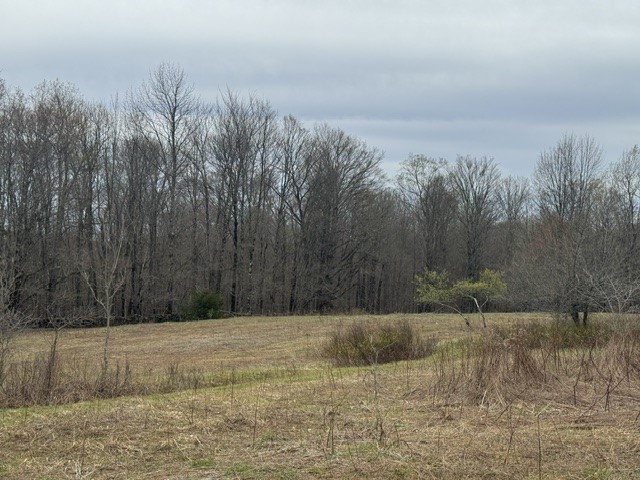 Lot 4 Shaver Hill Road Meridale, NY 13806 - Photo 9 of 44
