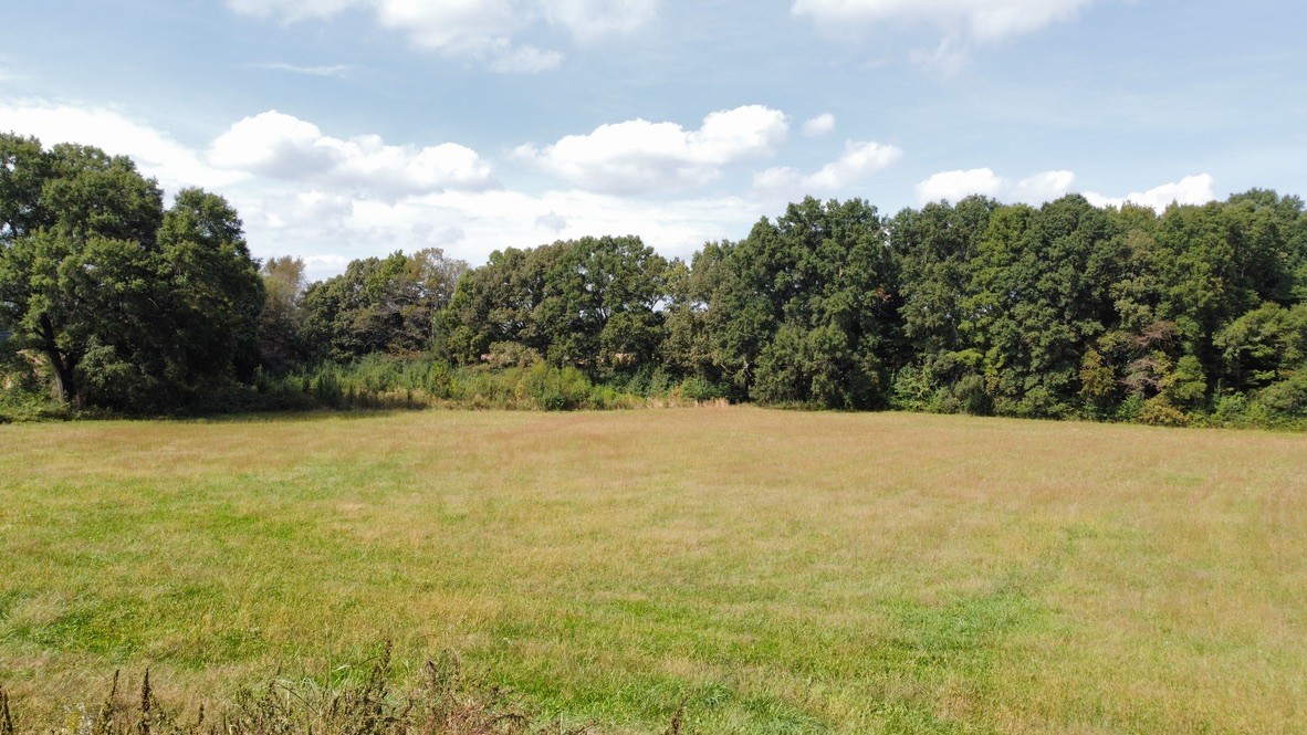 45 Shakerag Road Huntland, TN 37345 - Photo 21 of 22 Gallery Image 21