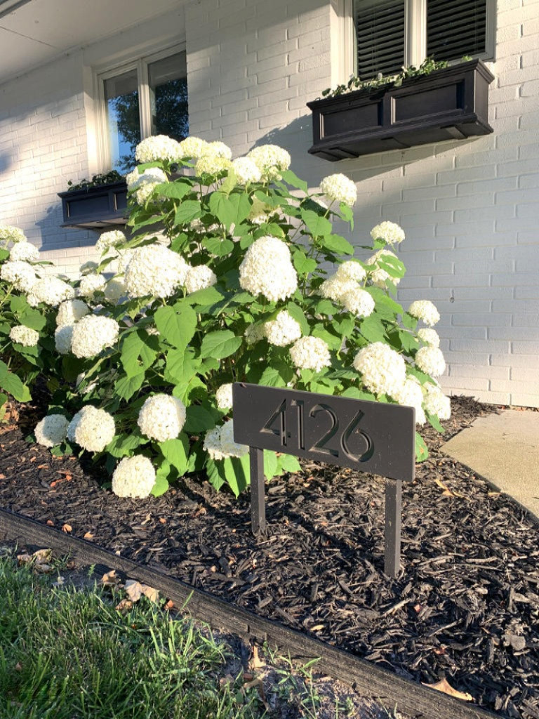4126 Hagar Shore Road Coloma, MI 49038 - Photo 2 of 29 Hagar in bloom2