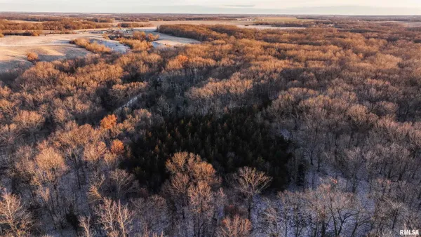 $1,125,000 | 1350 2950 E Street, Clayton, IL 62324