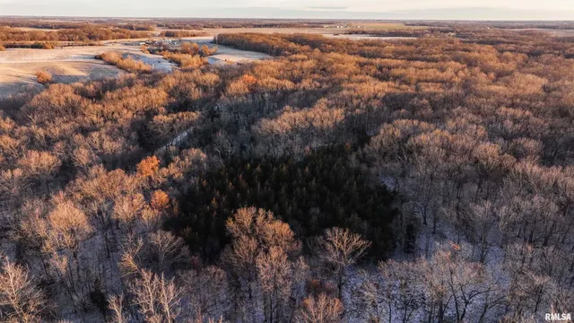 $1,150,000 | 1350 2950 E Street, Clayton, IL 62324