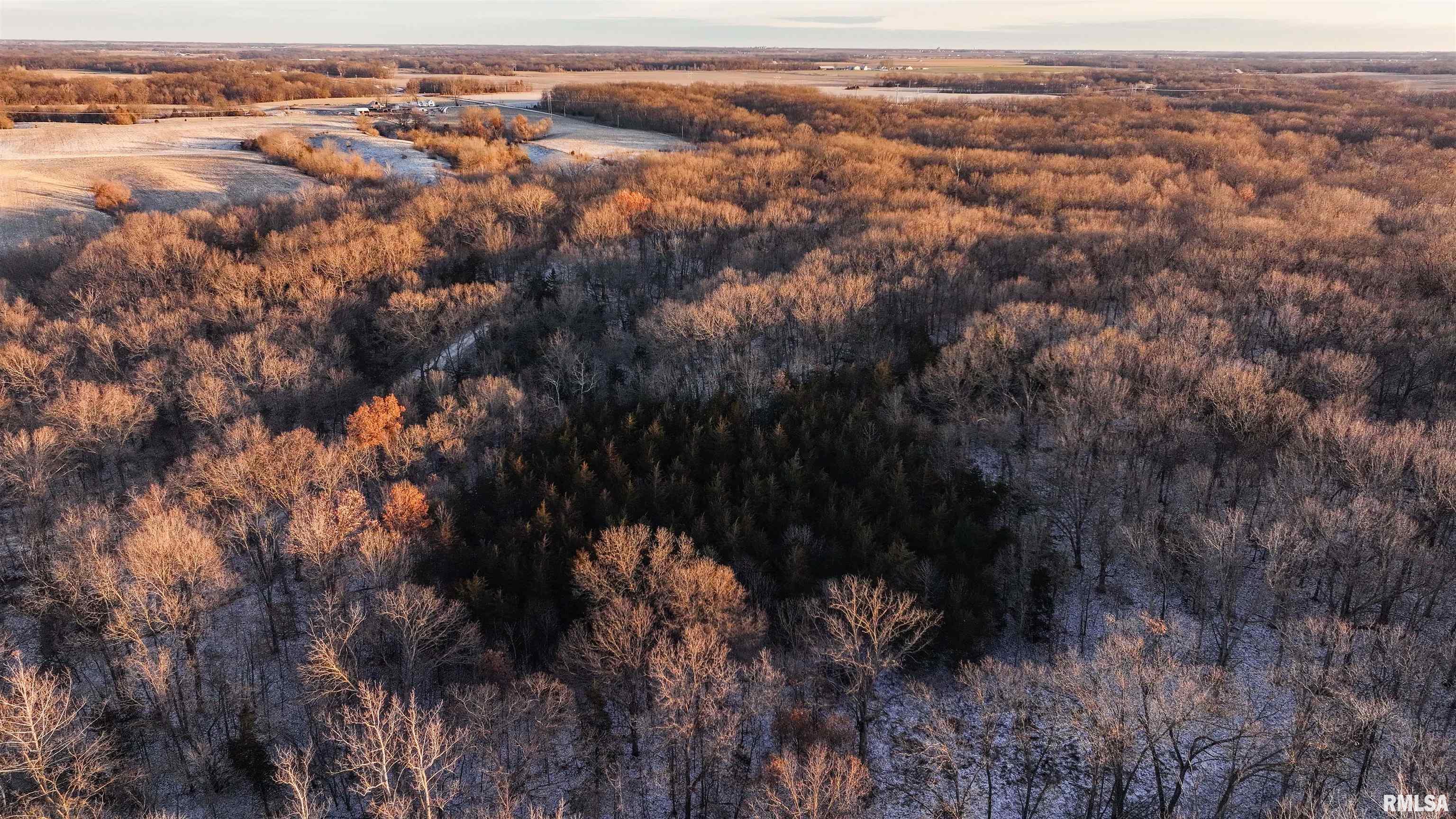 1350 2950 E Street Clayton, IL 62324 - Photo 11 of 77